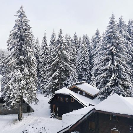 Apartments Zed Vila Zvoncica Kopaonik Buitenkant foto