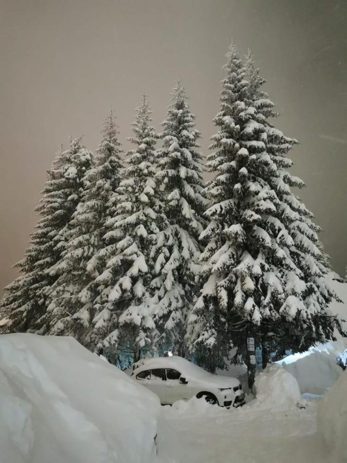 Apartments Zed Vila Zvoncica Kopaonik Buitenkant foto