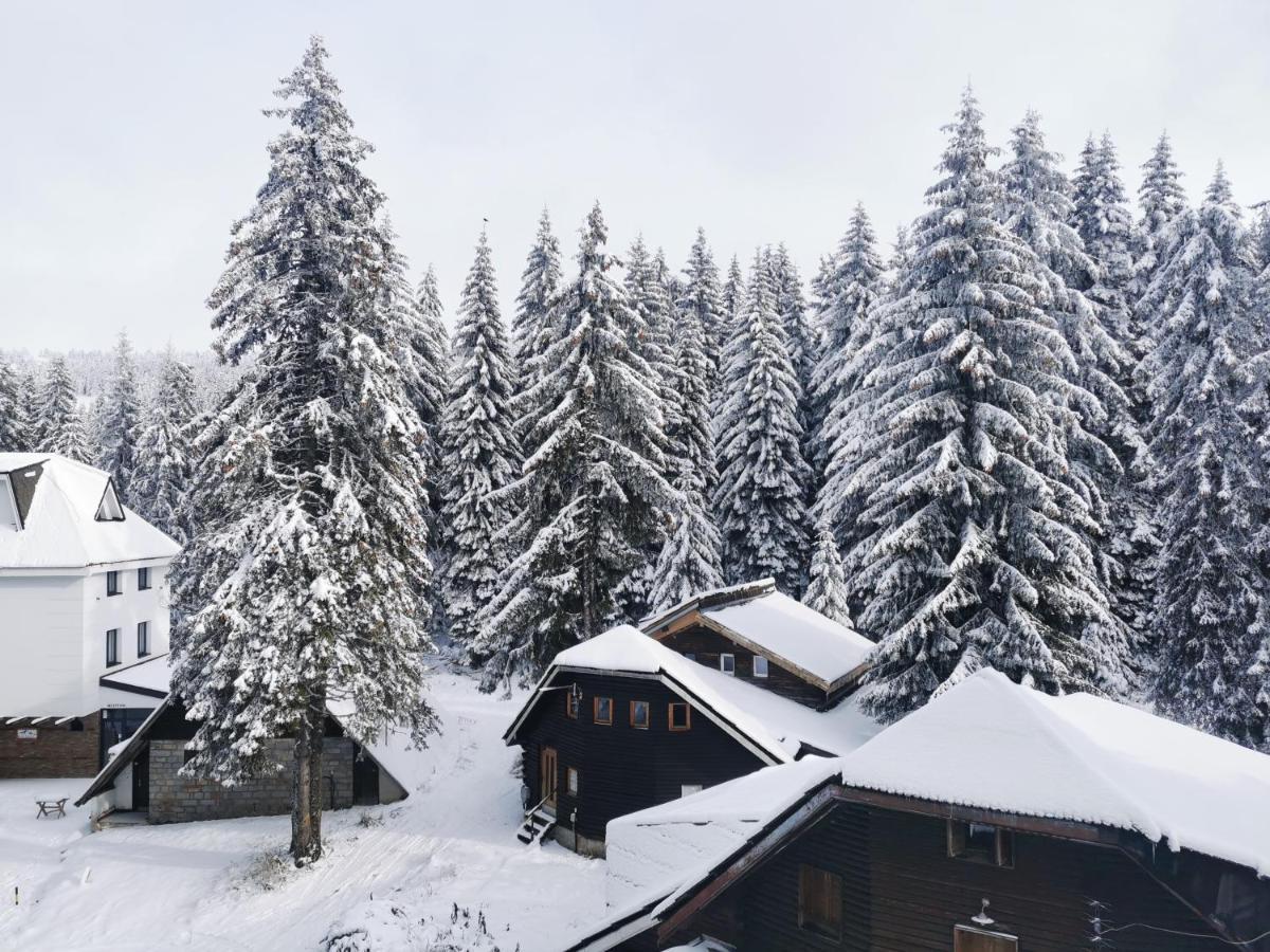 Apartments Zed Vila Zvoncica Kopaonik Buitenkant foto