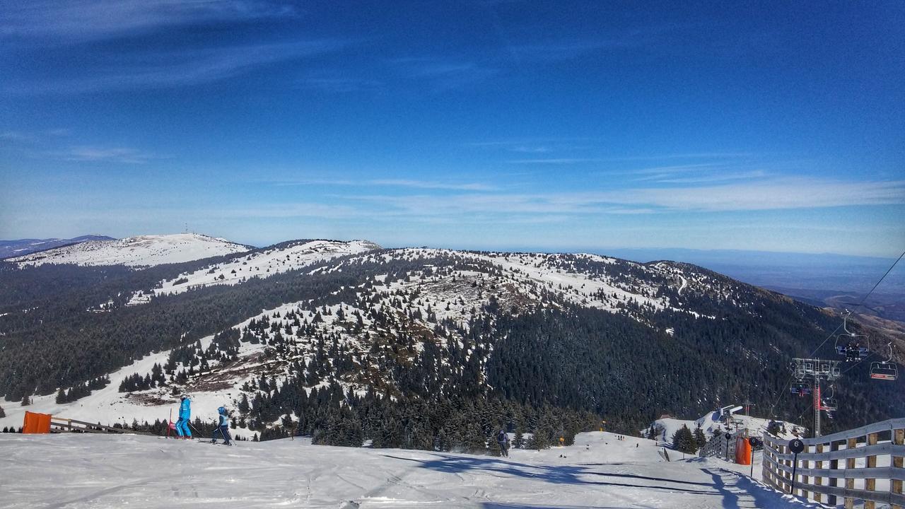 Apartments Zed Vila Zvoncica Kopaonik Buitenkant foto