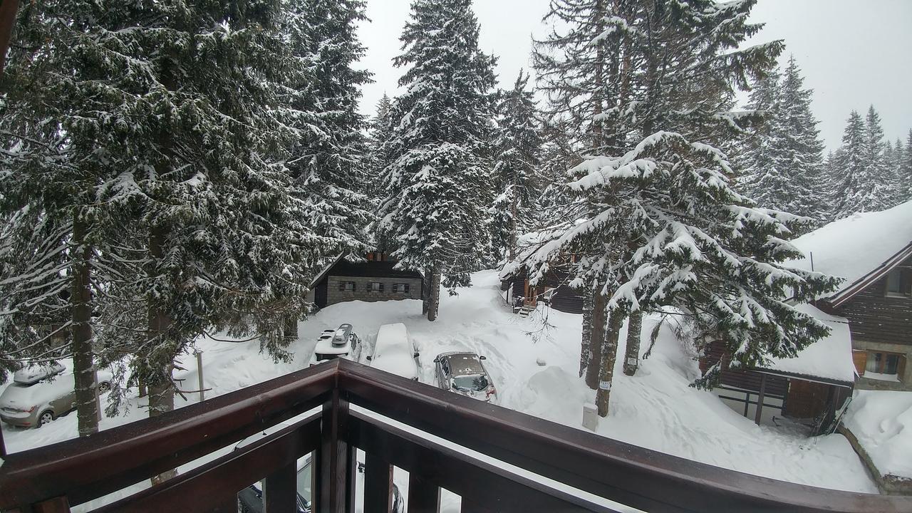 Apartments Zed Vila Zvoncica Kopaonik Buitenkant foto
