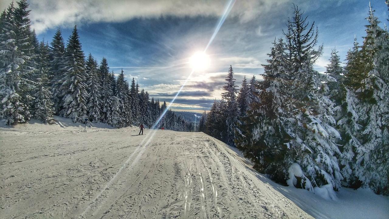 Apartments Zed Vila Zvoncica Kopaonik Buitenkant foto